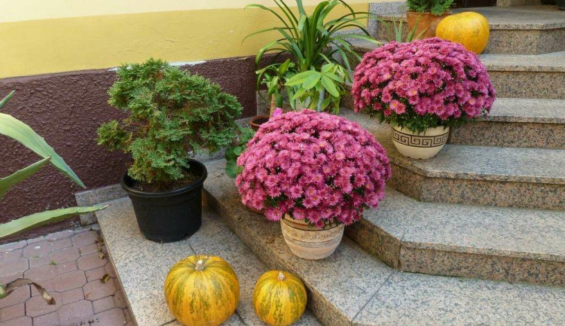 Pension - Restaurant  HOLIDAY Mariánské Lázně